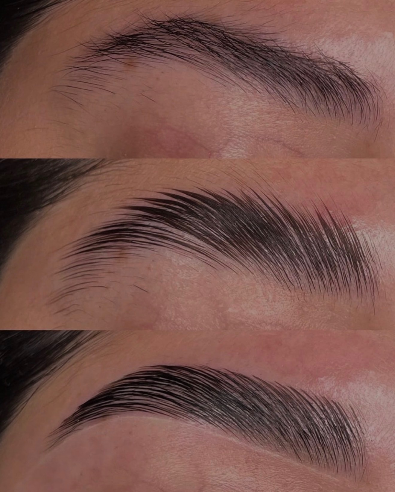 Brow lamination, tint and shaping result
